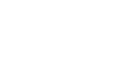 WordPress Website